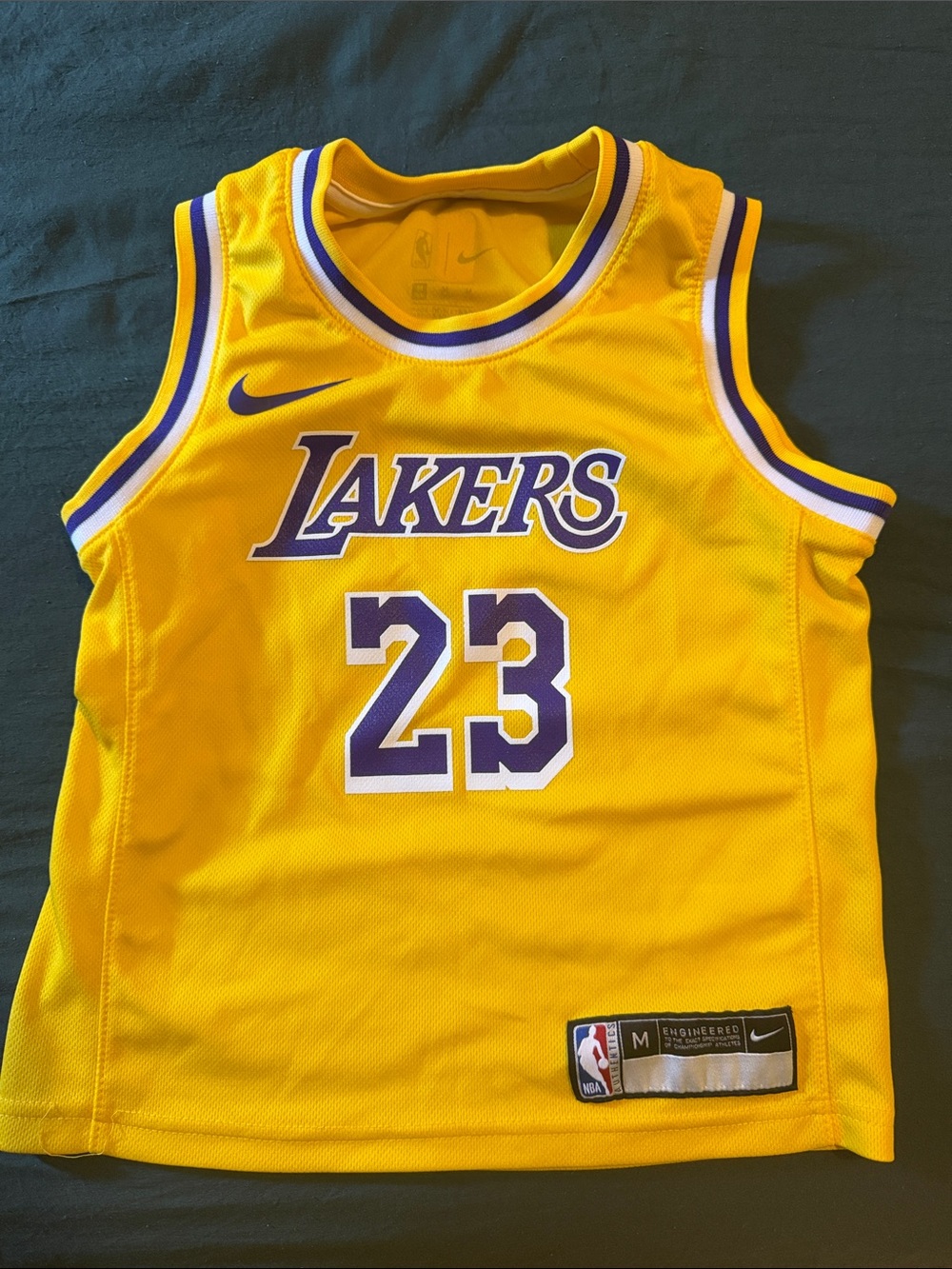 Nike Los Angeles Lakers Yellow/Purple #23 Kids Jersey